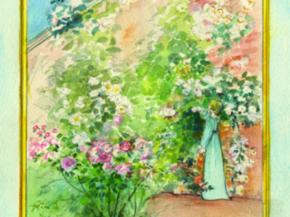 Fanny has been cutting roses has she  - Jane Austen card on sale at Winchester Cathedral gift shop.